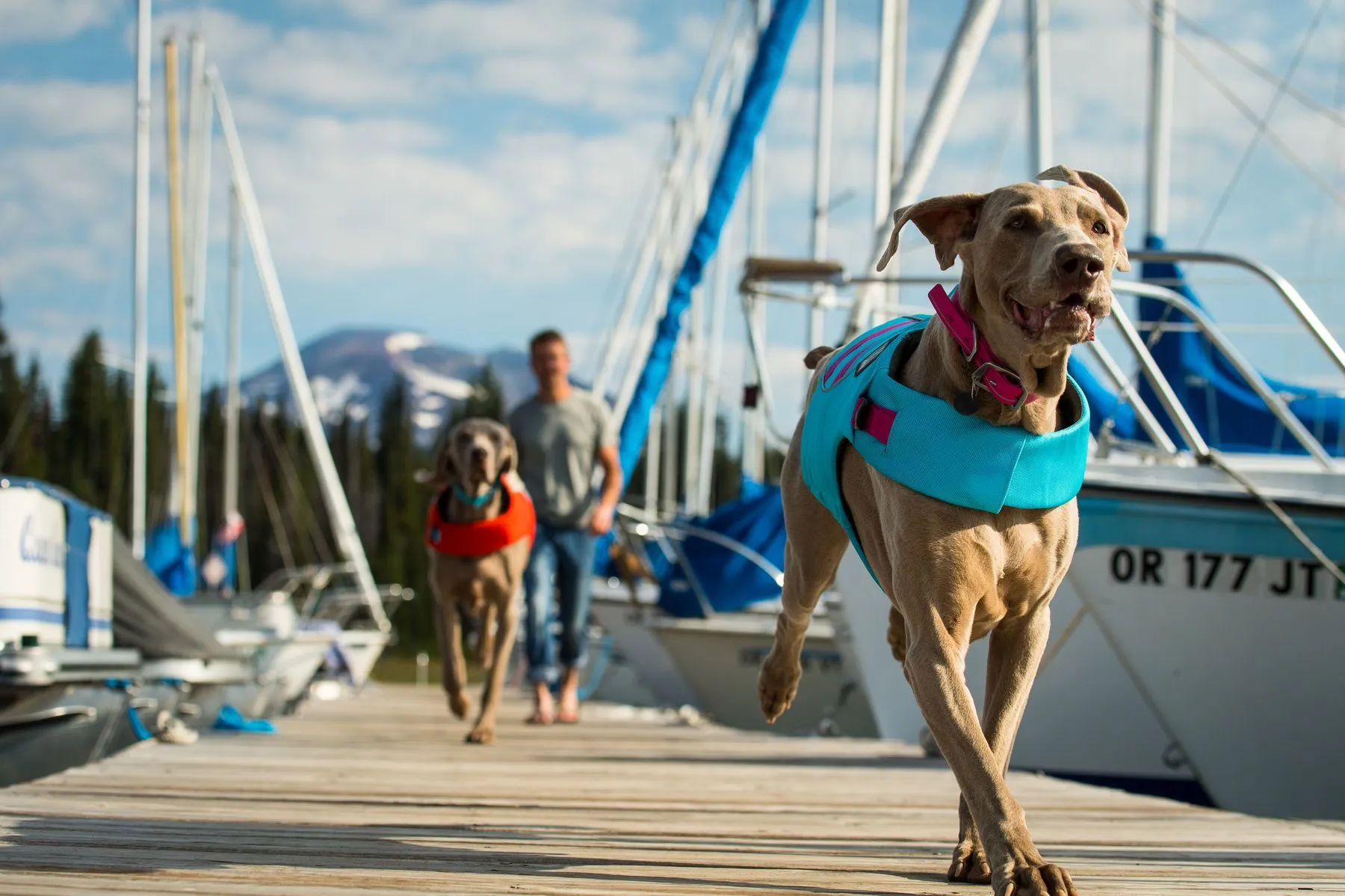 Float Coat™ Dog Life Jacket