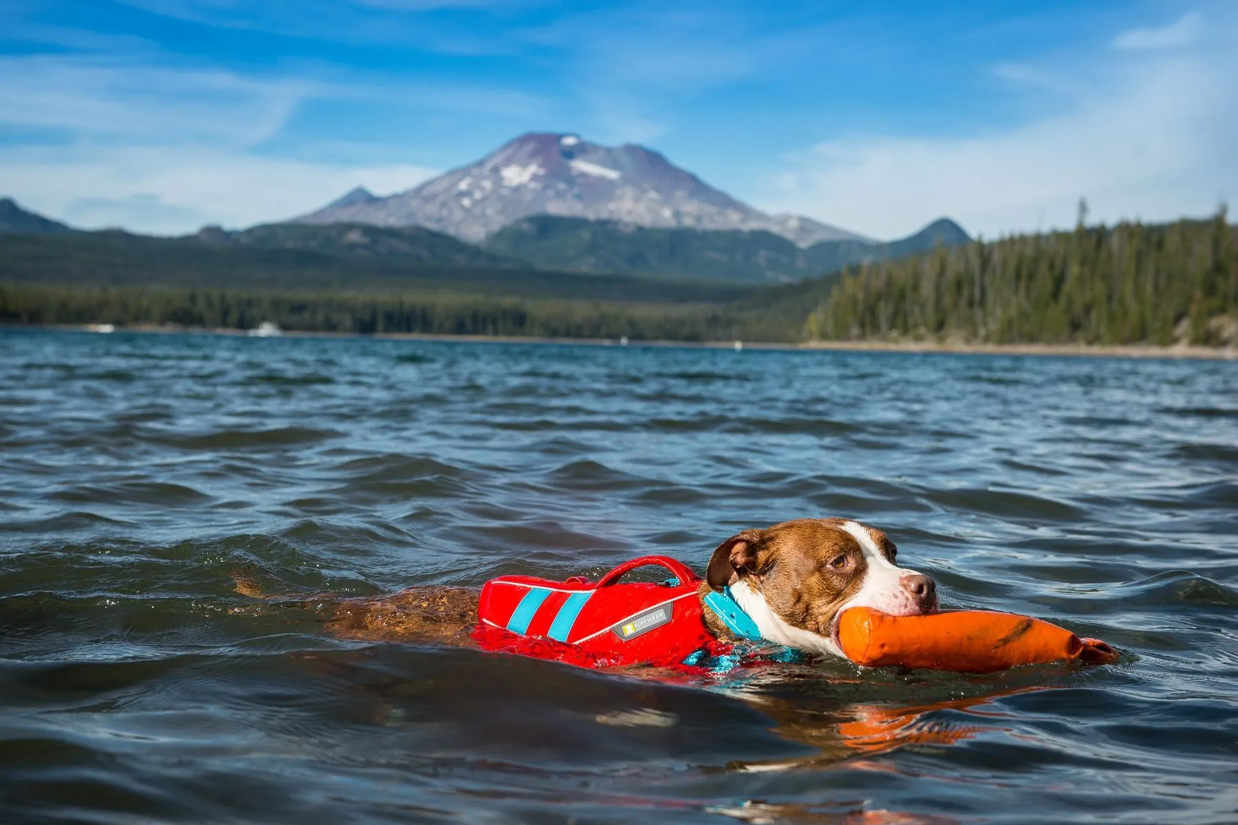 Float Coat™ Dog Life Jacket