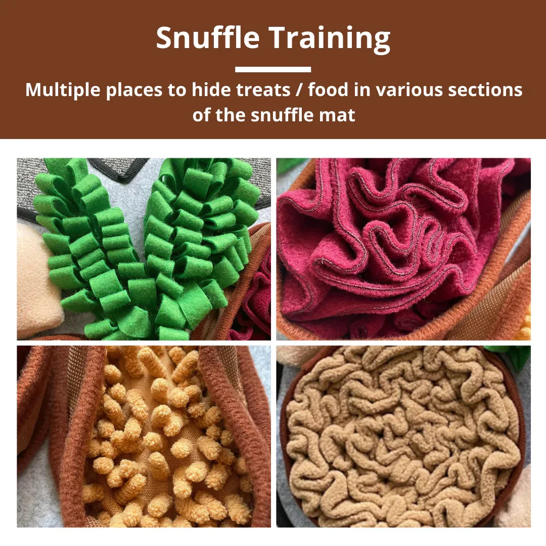 Pawz N Dogz Snuffle Mat - Chonky Peanuts