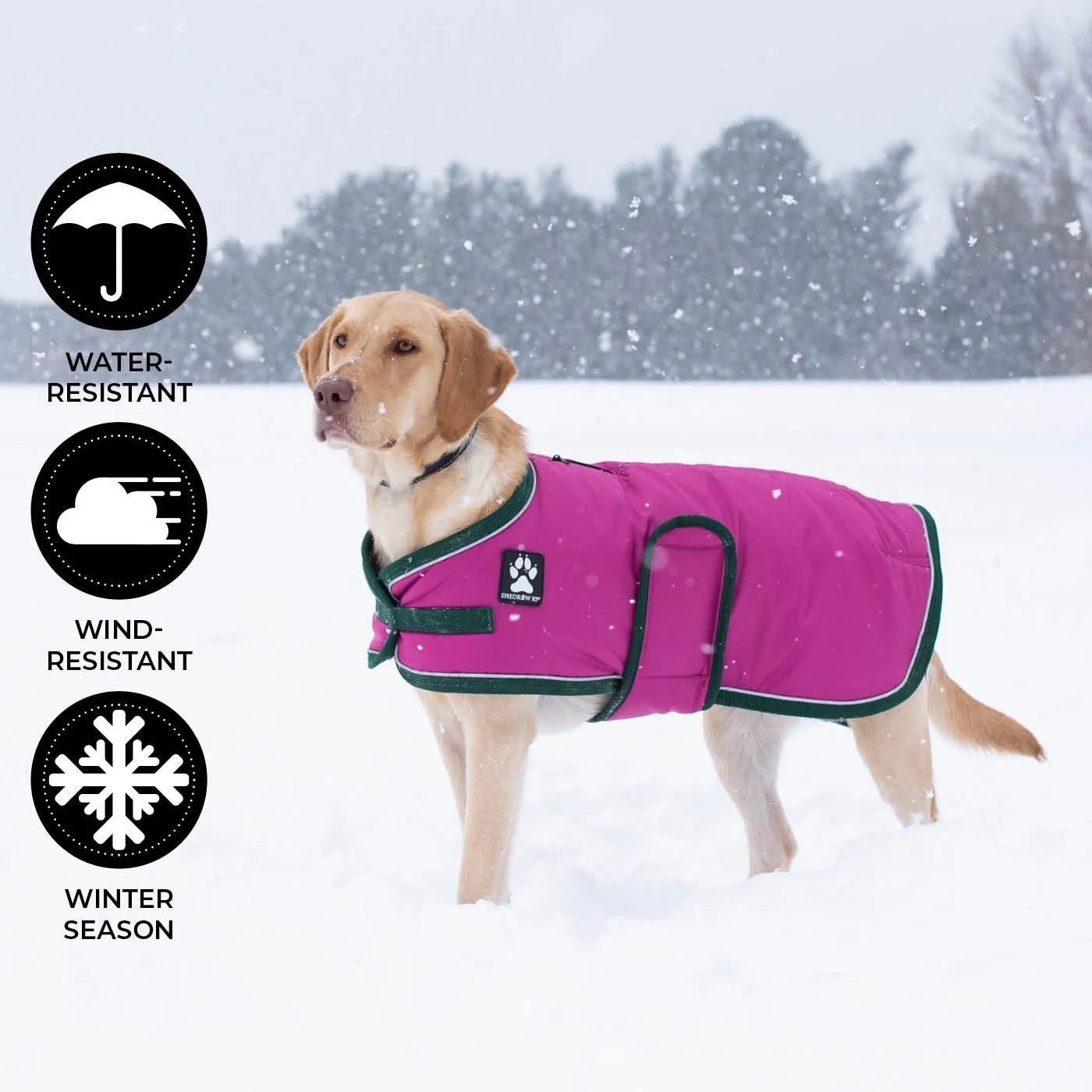 Shedrow K9 Vail Dog Coat Fushia