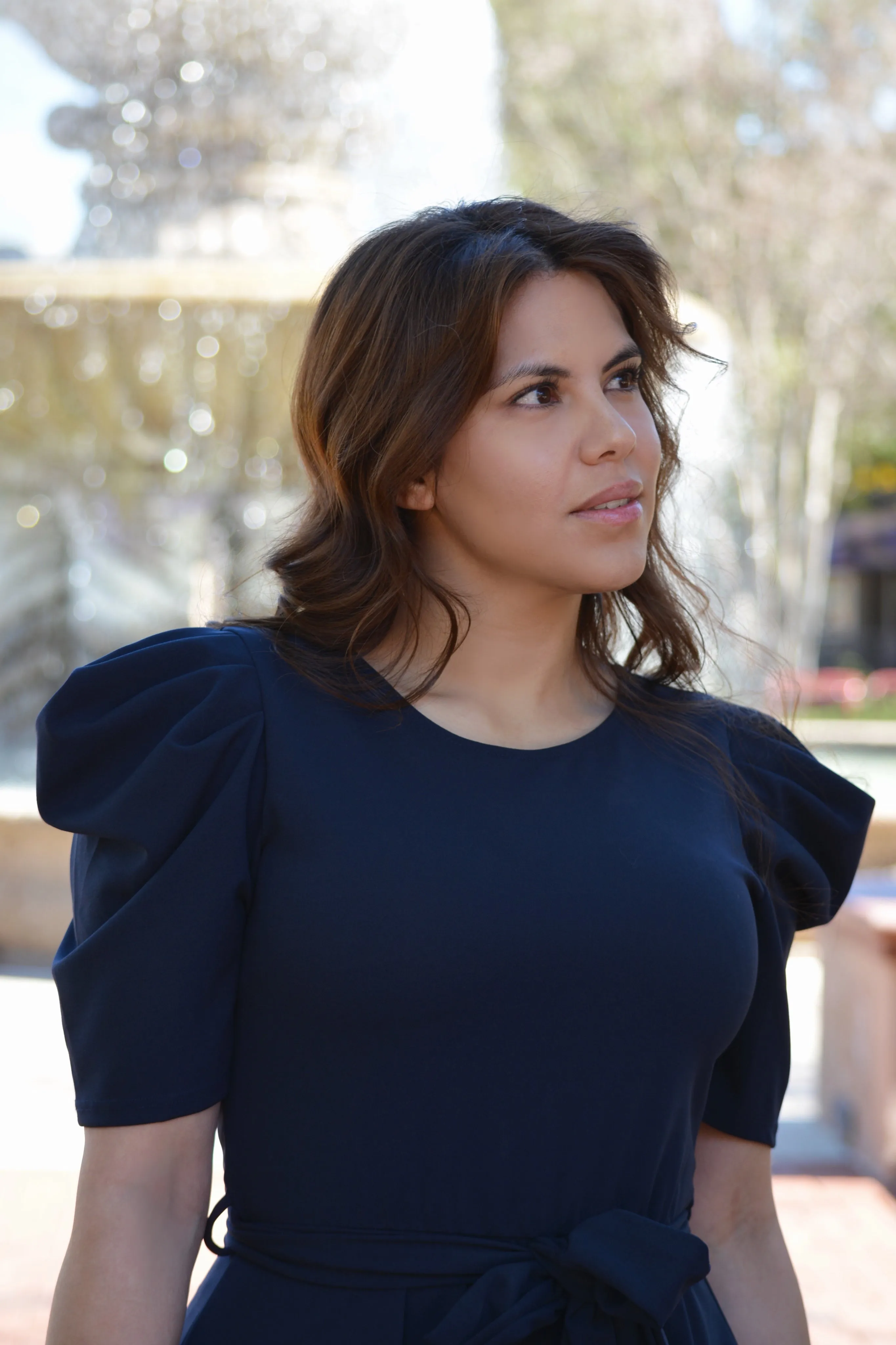 Stacy Navy Dress